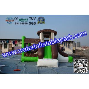 Indoor and Outdoor Inflatable Bouncy Castle with Slide