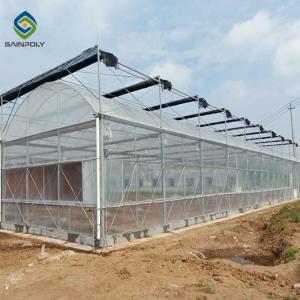 10m Hot Dip Galvanized Steel Frame Multi Span Greenhouse