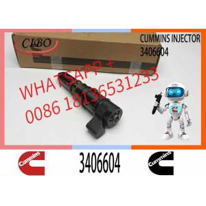 PT Fuel System Diesel Fuel Injector 3406604 For Cummins Construction Engine M11