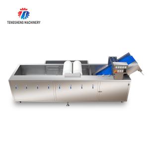 250KG Fruit and vegetable washing machine automatic sterilization washing