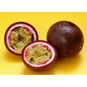 100% natural passiflora caerulea extract-- Passiflora incarnata L.