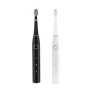 China FDA Practical Electric Sonic Toothbrush 500mAh Battery Powered on sale