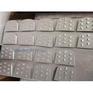 Lavina Chip PCDs Magnetic Connection Diamond Grinding Shoes fast change