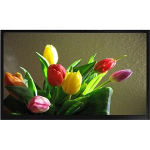 Wall Mounting Ultra Thin Tft Lcd Monitor , BNC Input 55 Inch Cctv Monitor Screen