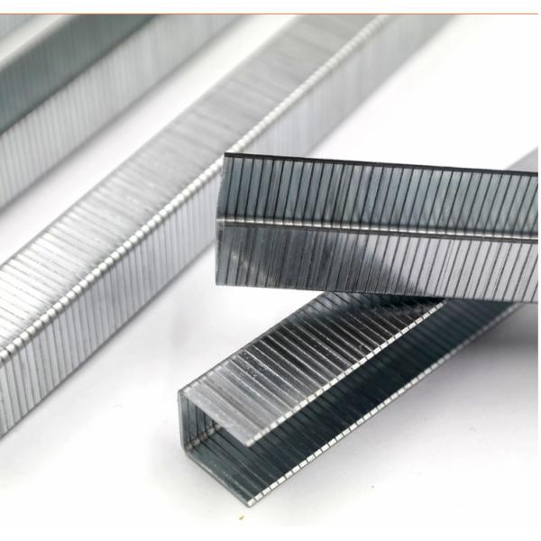 Staples 80 Staple 80 Series Staple 21Gauge Galvanized Nails Fine Wire Staples Sofa 80 Staple Pin 800