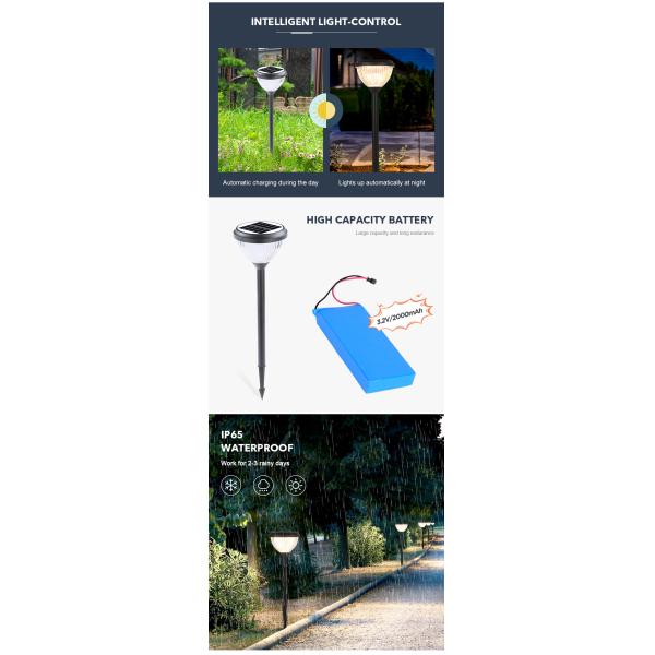 Durable Garden Solar Outdoor Lawn Lights Water Resistant 3000k 6000k