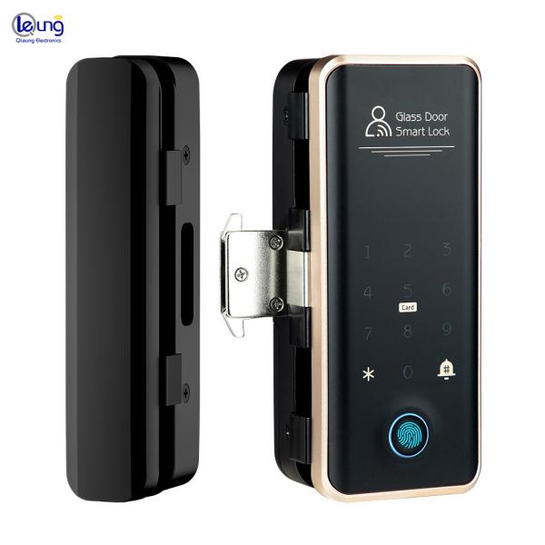 Villa Face Id Smart Lock ROHS Automatic Door Lock For Apartment