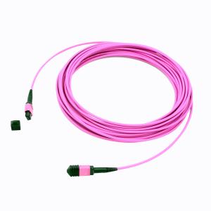 China 24F 40G Male OM4 MPO cable on sale