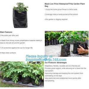 Nine pockets cheap vegetable grow planter bag,china manufacture riptop