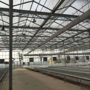 Industrial Insulated Steel Frame Buildings Construction With Metallic Materials