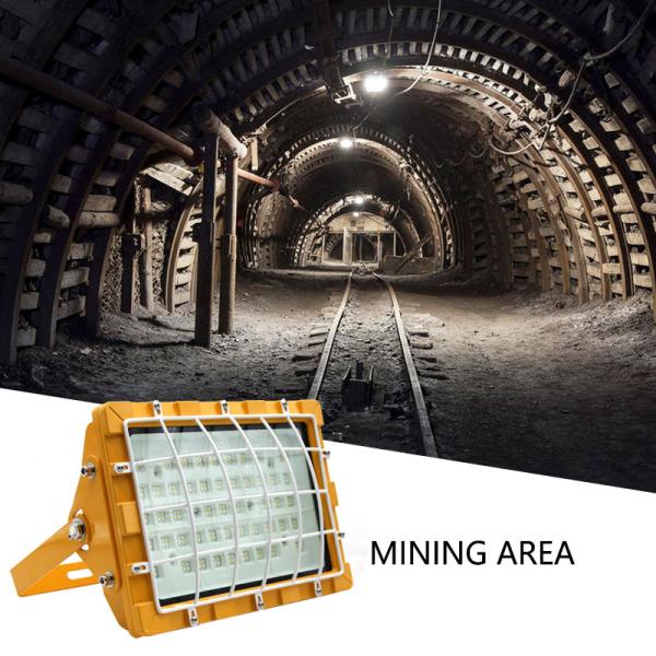 Super Bright Tunnel Light Ip65 Waterproof Explosion Proof LED Flood Light