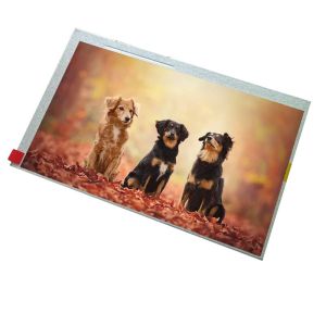 7 UMSH-8173MD-T New Compatible 800*480 Lcd Panel