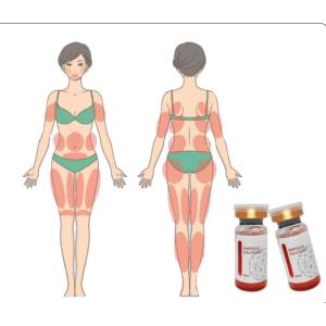 China Dissolve Fat Lipolytic Serum RED Ampoule Lipolysis on sale