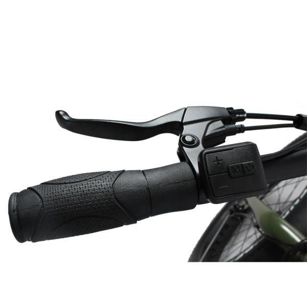 DOMANCA Standard Fat Tire Electric Bike with 2 Seat Lithium Battery Power Supply