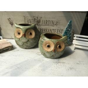 Succulent Creative Animals Owl Plant Flowerpots