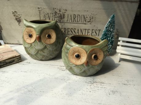 Buy Succulent Creative Animals Owl Plant Flowerpots at wholesale prices