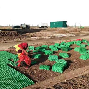 Quality HDPE PP Driveway Grass Grid High Compressive Strength Plastic Grid for Car Parking Lot for sale