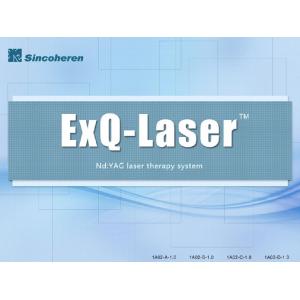 Nd YAG Q Switched Laser For Tattoo Removal / Vascular Lesions Removal Long Pulse