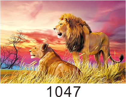 Custom 3D Lenticular Printing 60*80cm / Wall Poster 3D Animals Photos