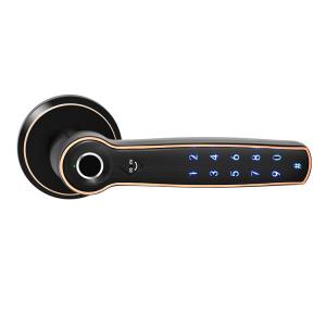CE Smart Handle Lock