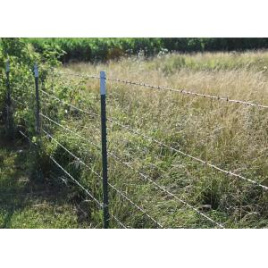 Quality Rust Resistance PVC Coated /Galvanized Barbed Wire Coils Fence for sale