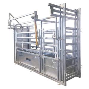 Professional Hot DIP Galvanized Cattle Crush with Weighing Scale