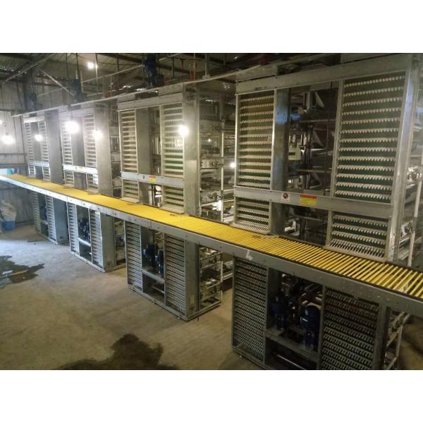 H Type Layer Chicken Cage Q235A Automatic 4 tiers Galvanized Wire