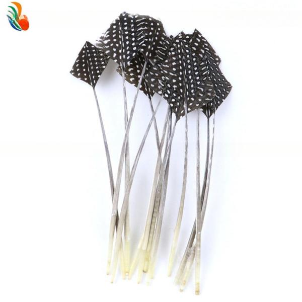 Raw Pattern Millinery Feather Arrow Head Guinea Fowl Feather Quill Fast Shipping