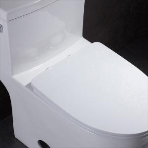 High Efficiency White One Piece Tall Elongated Toilets Bowl MAP800G