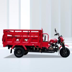 250cc Water Cooling Cargo Tricycle The Top Choice for Cargo Transportation