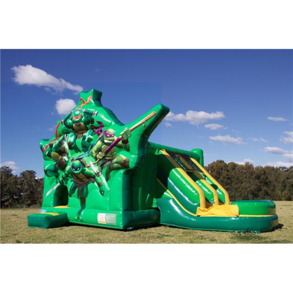 Commercial Teenage Mutant Ninja Turtles Dual Slide Combo Jumping Castle For Party Custom Size