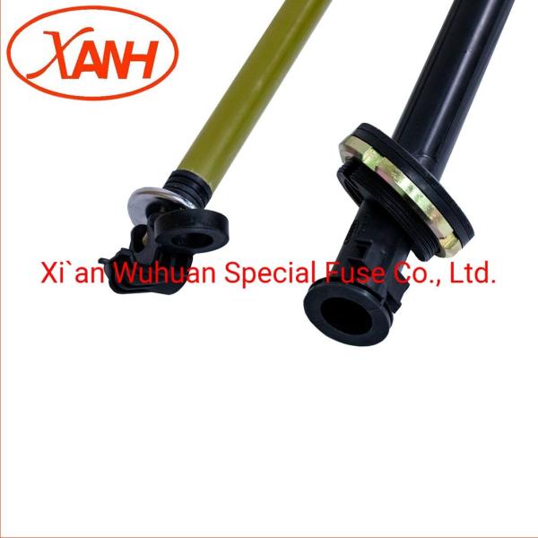 Bay-O-Net Tap Changer Switch Fuse for Oil Transformer Xrnt4-15.5/63