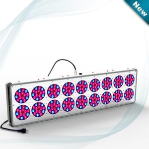 China 2018 led lighting Smart Lighting greenhouse led grow light 1000W on sale