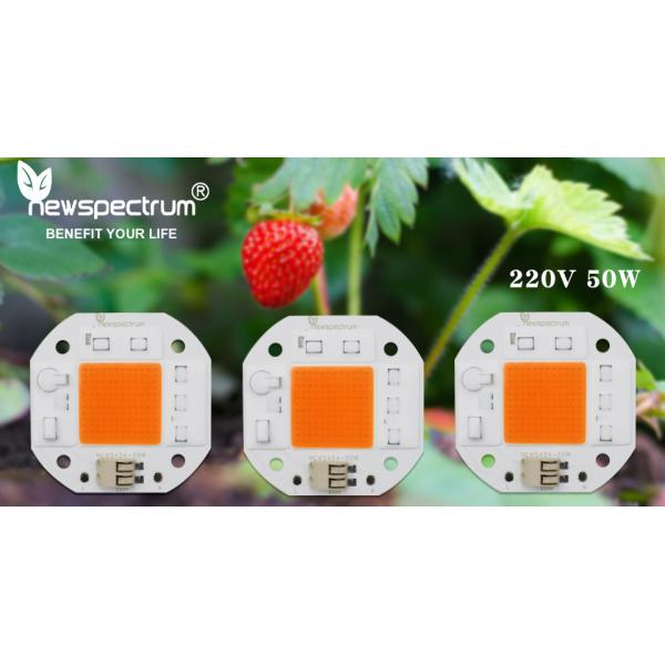 50W LED Grow Chip