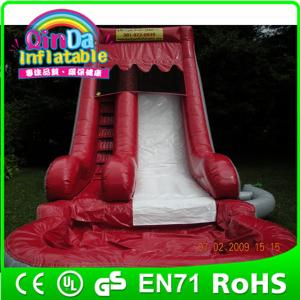 China China Factory Directly sell amusement park inflatable slide on sale