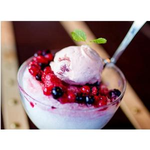 220V/50Hz 48 KG Slush Puppy Machine 420x590x810mm