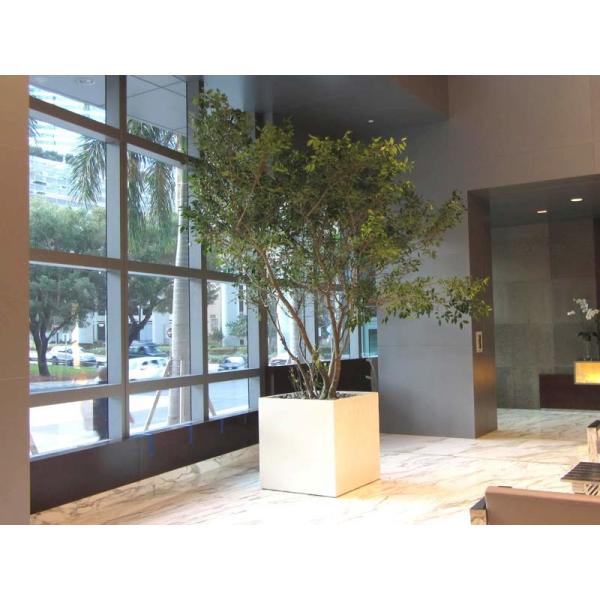 Fiberglass Plant Pot With Variety Of Sizes Fiberglass Flower Planters Matte Finished Customized