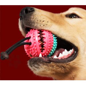 Chewy Dispensing Proof Dog Puzzle Training Ball On Rope For Dogs Puppies