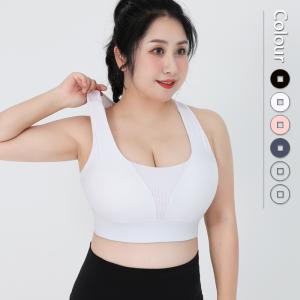 High Intensity Workout Plus Size Sports Bra Latex Pad Shock Resistant