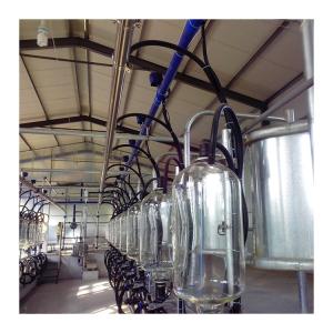 SS304 Herringbone Parlour Milking Systems Dairy Cow Equipment