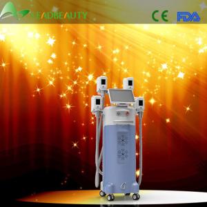 China Hot Selling Slimming Beauty cryolipolysis fat freezing machine on sale