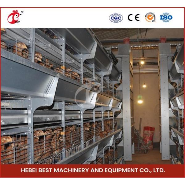 Day Old Layer Chick Brooding Cage Equipment 208 Birds Higher Survival Rate Ada