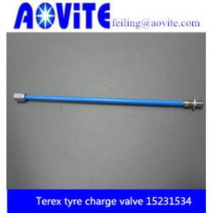 Quality AOVITE 15231534 tyre charge valve for Terex TR100 mining truck for sale