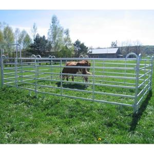 Pressure Treated Wood Type Heat Treated Metal Farm Fence for Cattle Rail Field