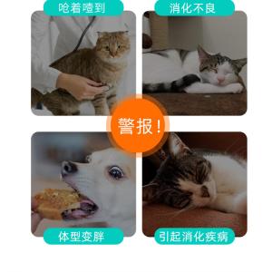 Health-Focused Slow Feeder Bowls - Ideal for Cats and Small Dogs