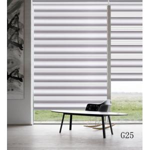 High Quality Home Decoration chicology zebra blinds motorized for window