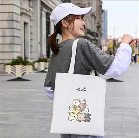 Buy Customized Zipper Canvas Grocery Bags With 1 Pocket & Stationery Storage at wholesale prices