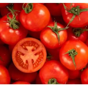 High Speed Tomato Paste Processing Line Automatic High Capacity