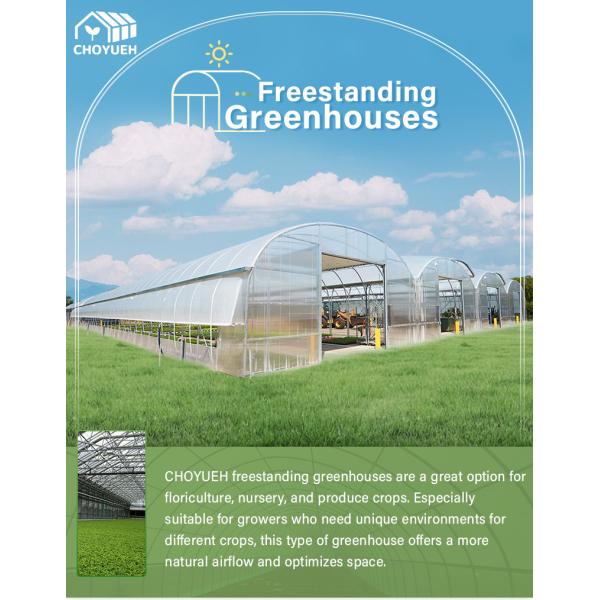 Plastic Film Tunnel Greenhouse Kit Width 6m 8m 9m For Growing Vegetables Flowers Fruits