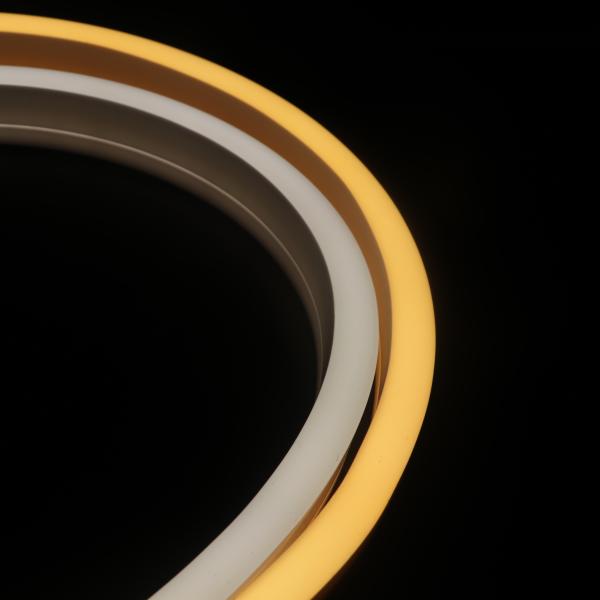 Buy ERP Silicone Neon LED Strip at wholesale prices